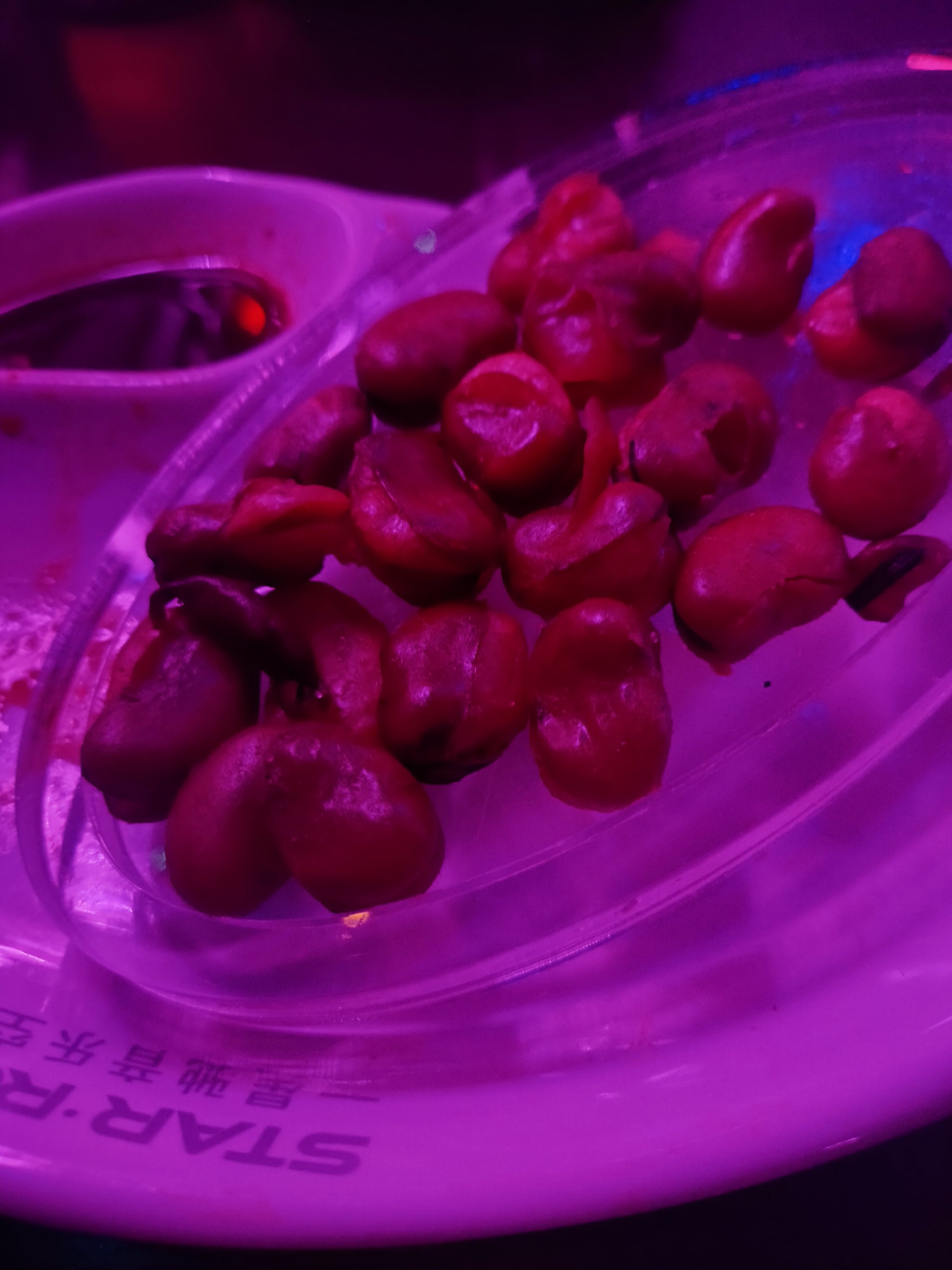 大连商务ktv低端场所推荐-长海县ktv预订